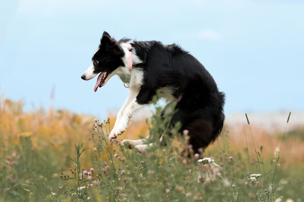 Photograph by Ксения