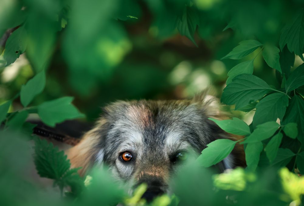 Photograph by Ксения