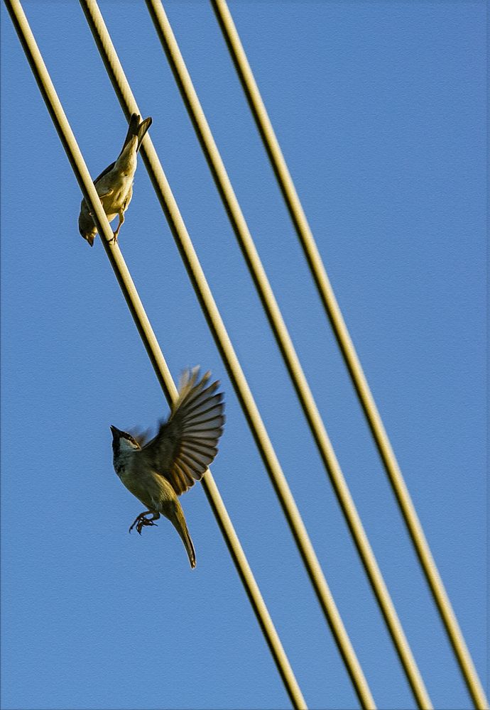 Фотография автора Dinh lh