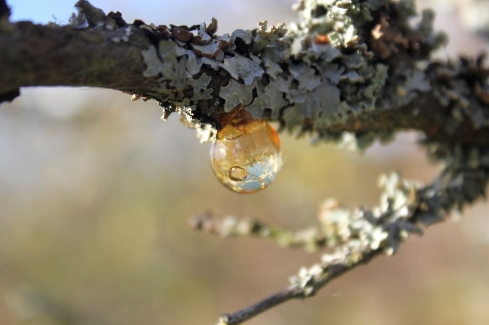 Photograph by Olga Bagaeva