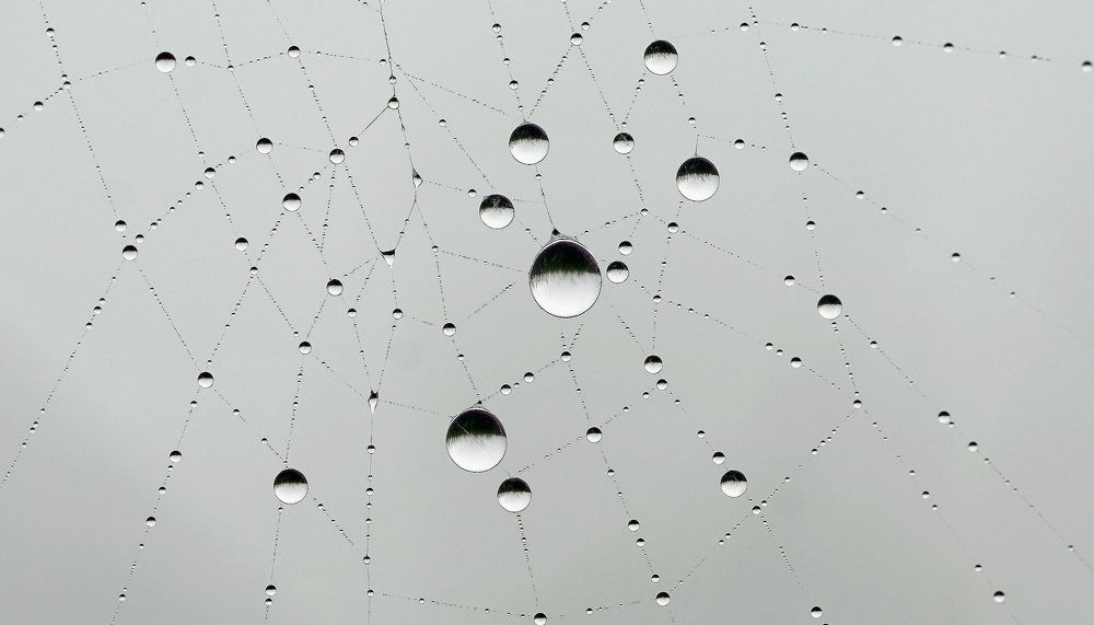 Photograph by Антонов Алексей