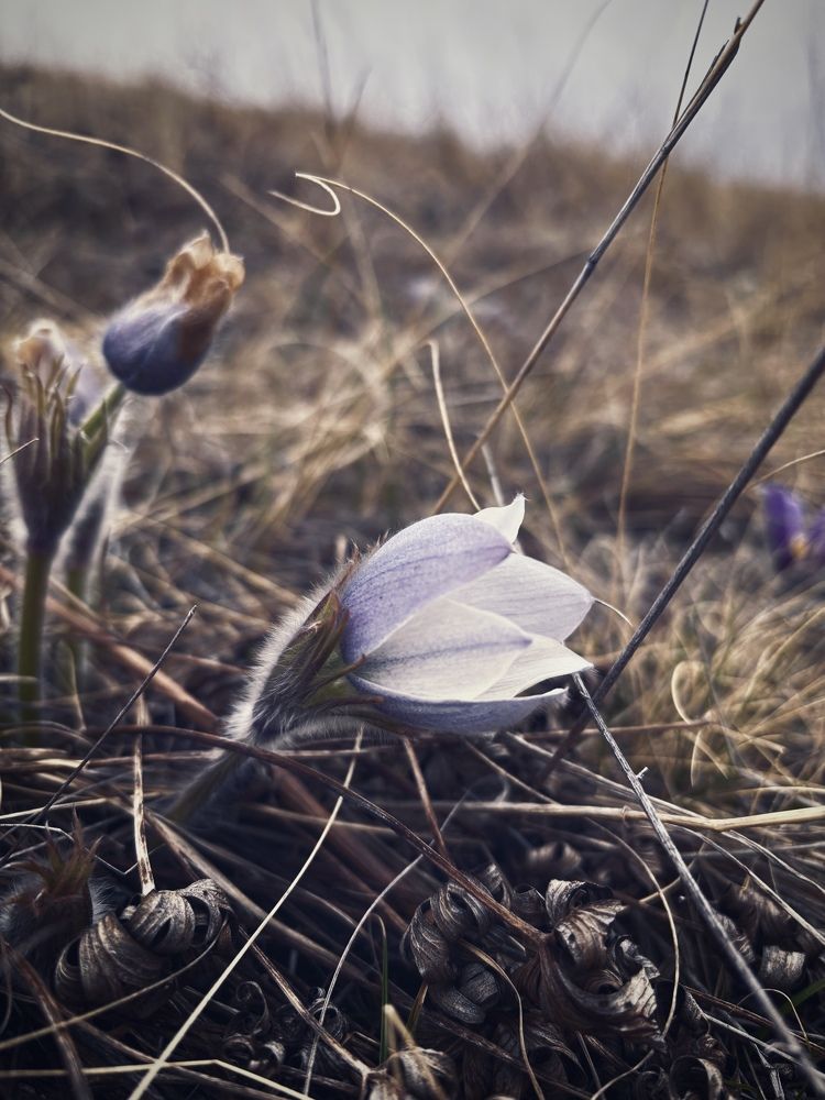 Photograph by Козинец Александр