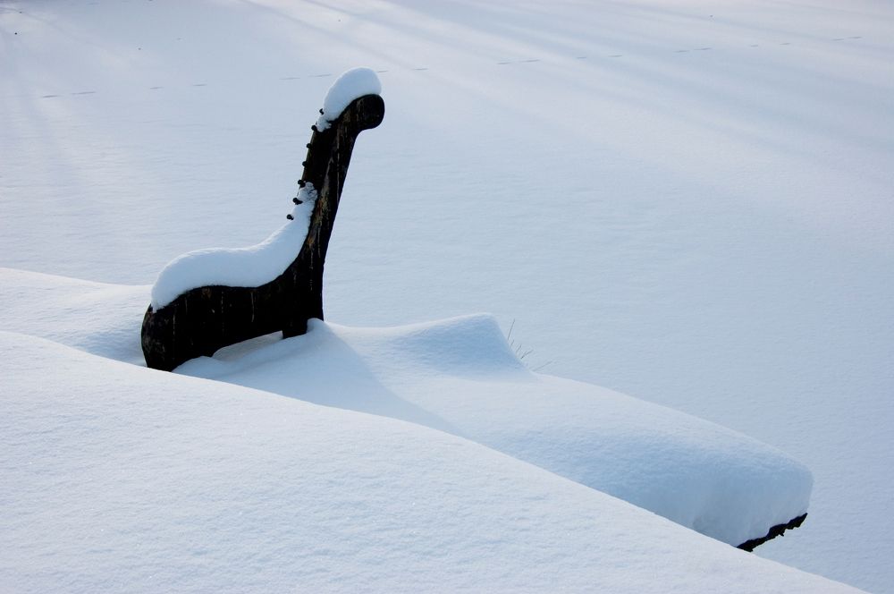 Фотография автора Олег Анатольевич Загорулько