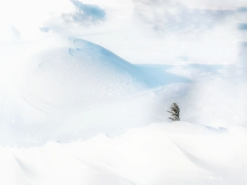 Photograph by Irina Luidinshina