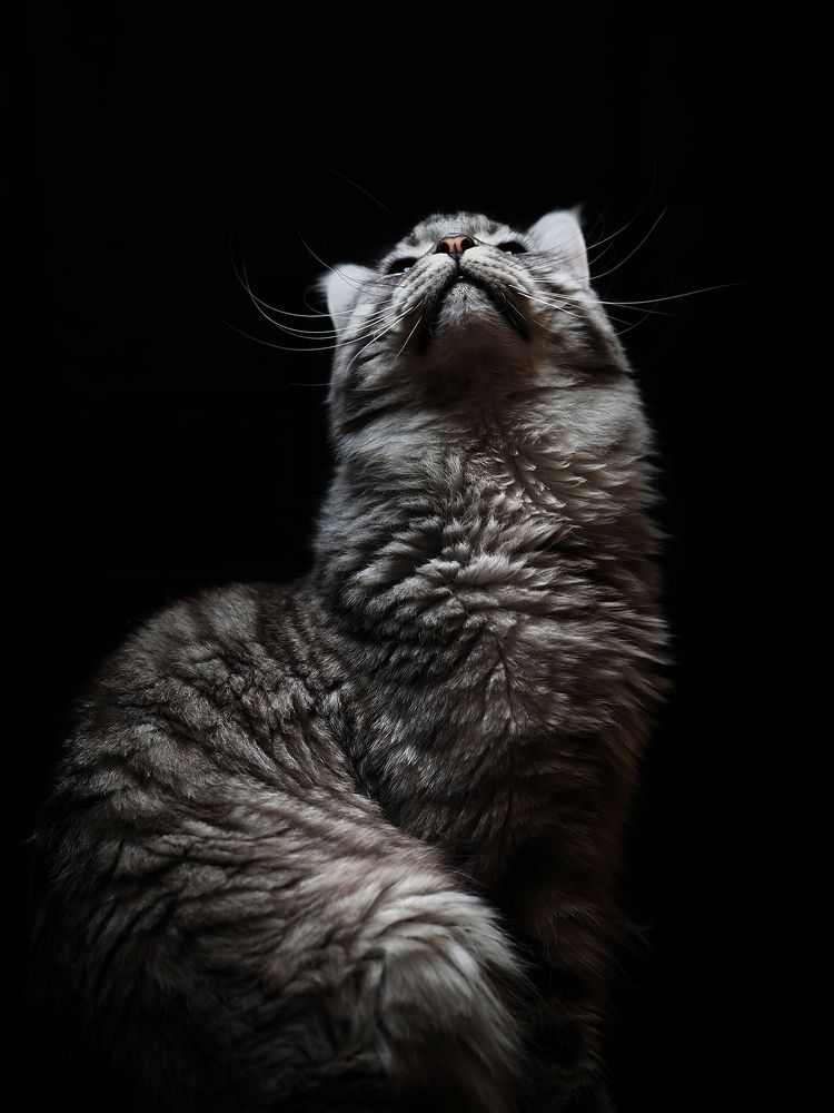 Photograph by Александр Луппов