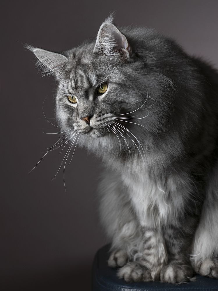 Фотография автора Александр Луппов