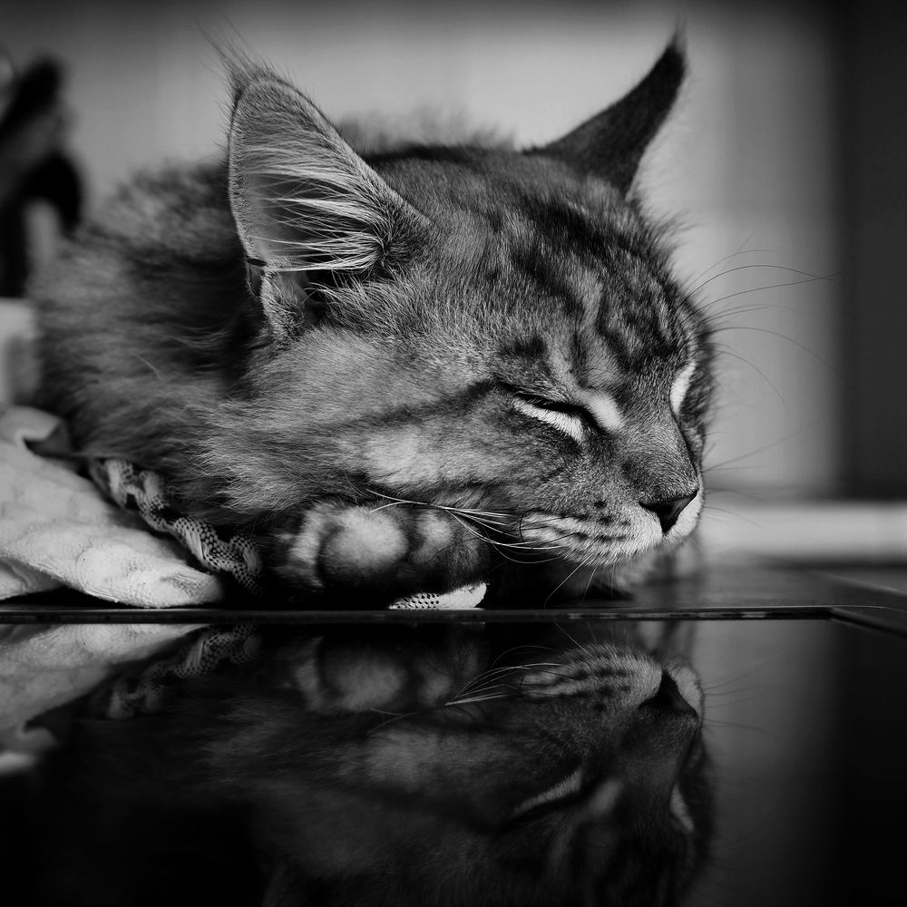 Photograph by Александр Луппов