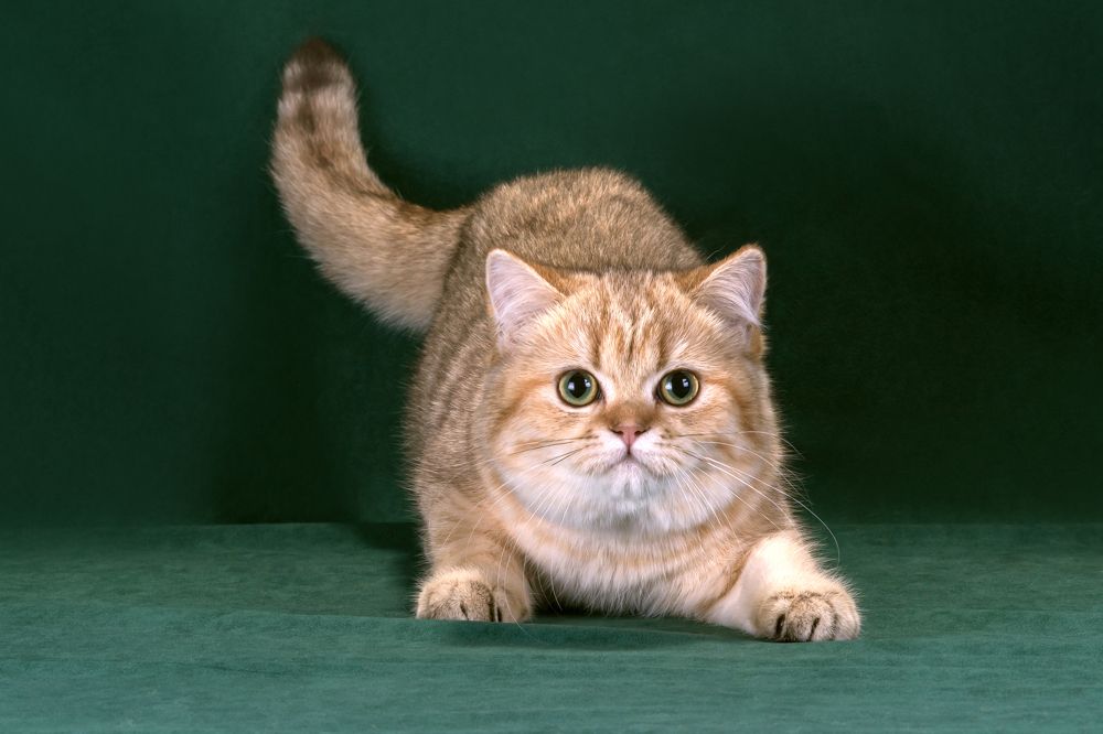 Photograph by Евгений Просвирнин