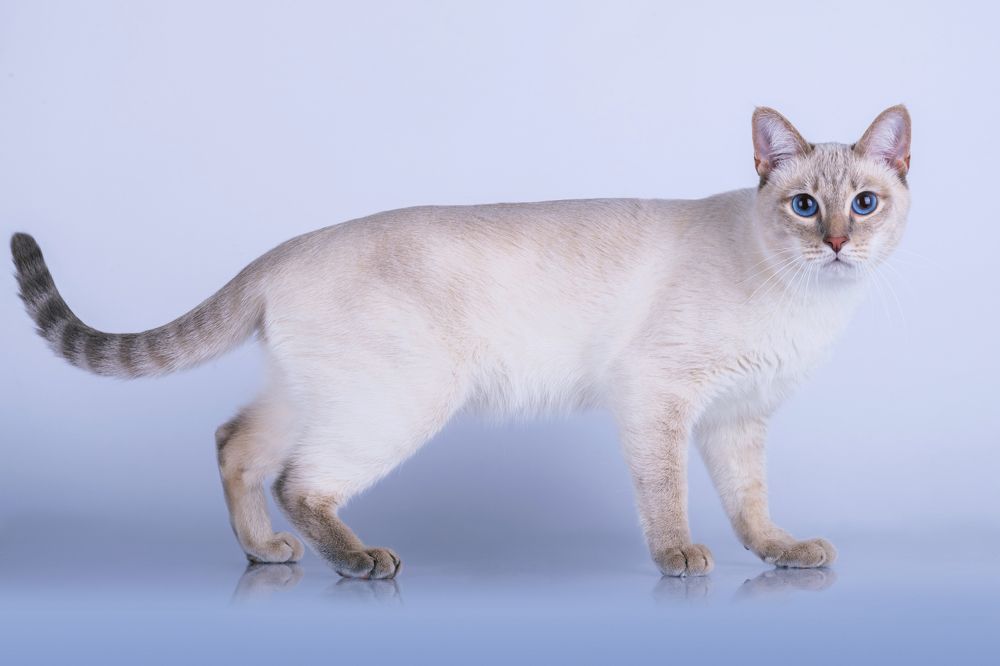 Photograph by Евгений Просвирнин