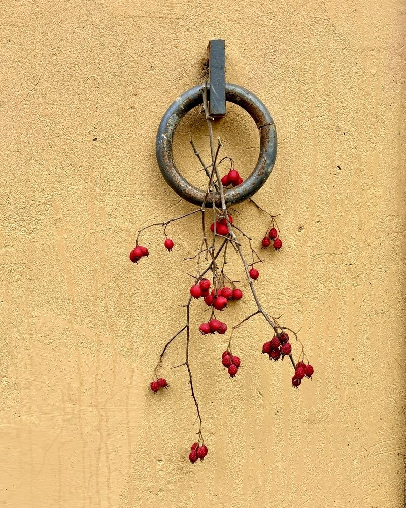 Photograph by Титаренко Людмила