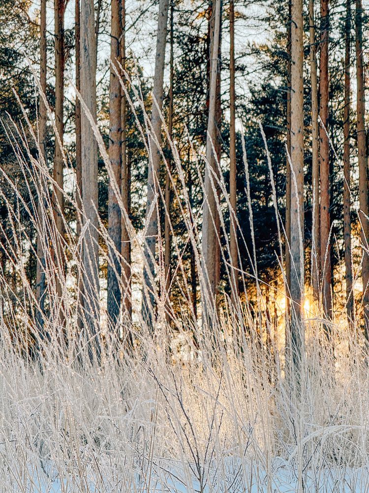 Photograph by Елена Федорова