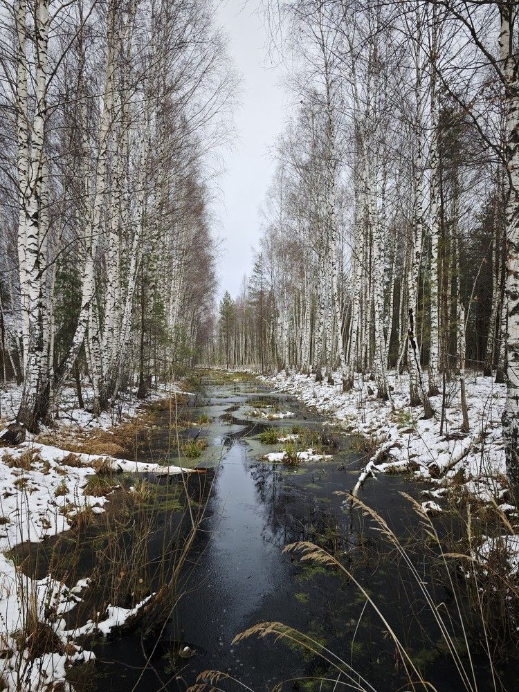 Осенняя весна