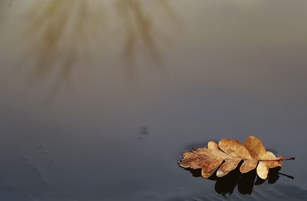 Фотография автора Сергей Гречихин