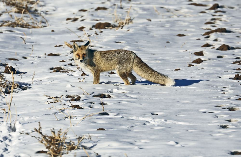 Photograph by ihsan ilze