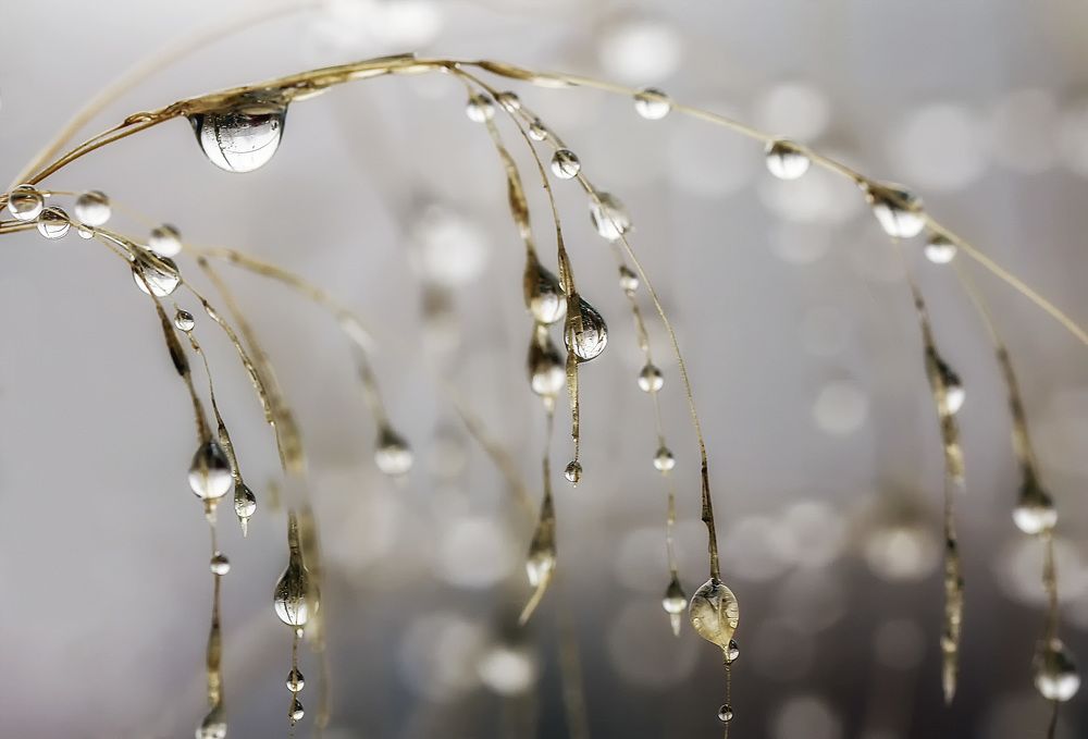 Фотография автора Александр