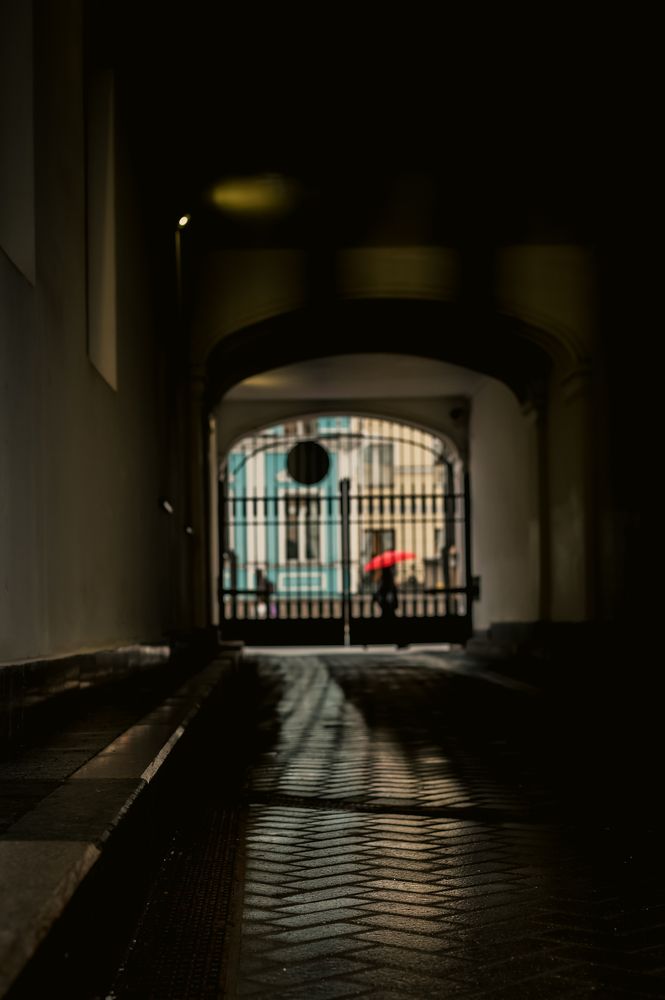 Photograph by Евгения Шулакова