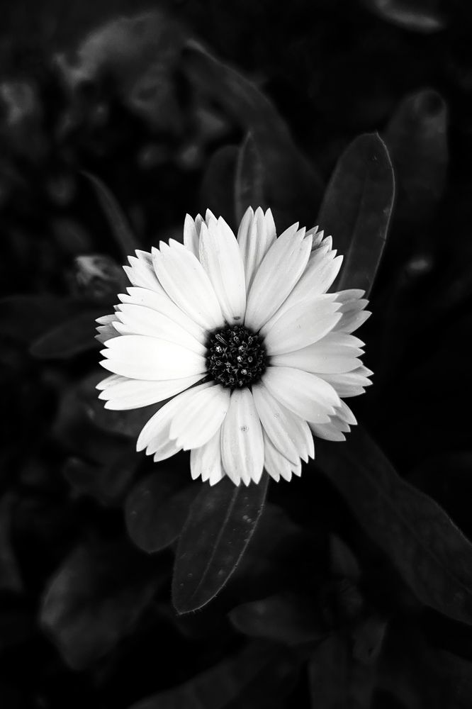 Photograph by Ahmad Qasim Mirzaie