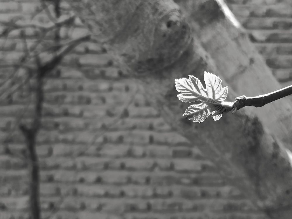 Photograph by Asma Rashidi