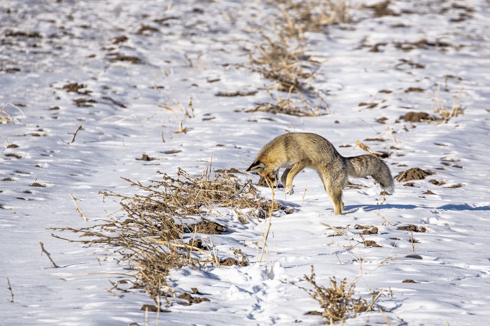 Photograph by ihsan ilze