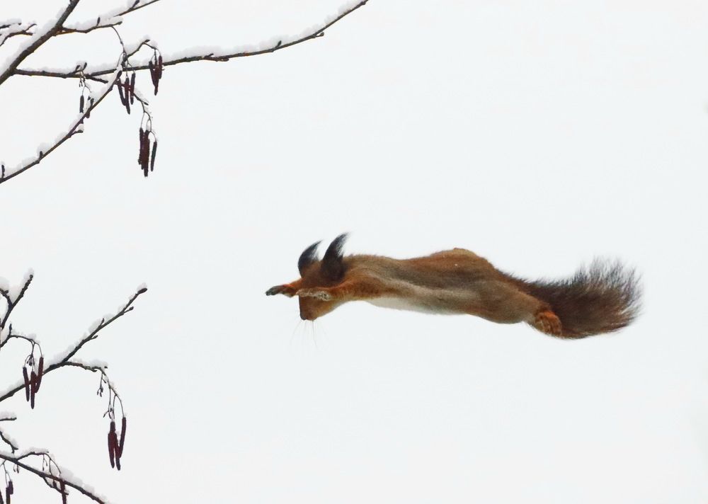 Photograph by Сергей Маслов