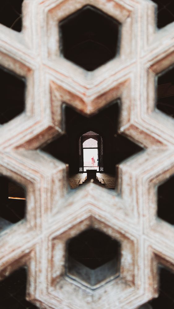 Photo #11663100