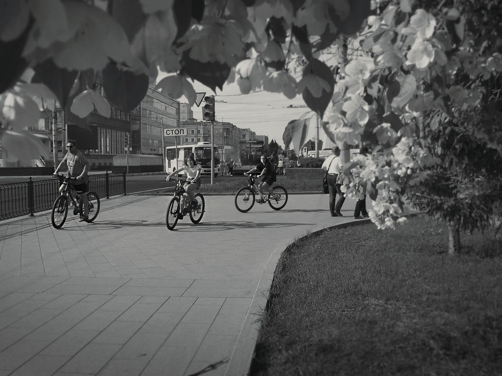 Photograph by Валерий Алфимов