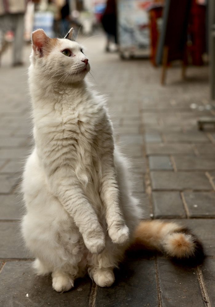 А что там у вас вкусненького?