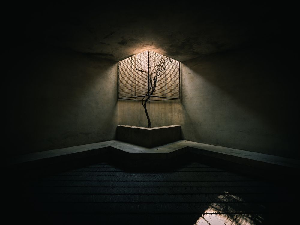 Photograph by Yu Zhechen