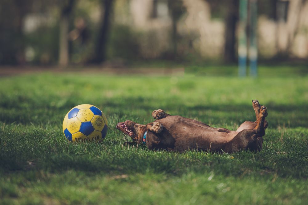Фотография автора Ольга Тенилова