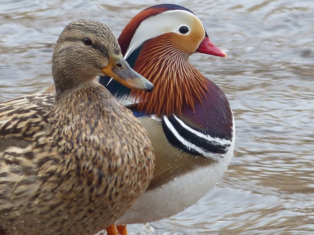 Photograph by Георгий Салюков