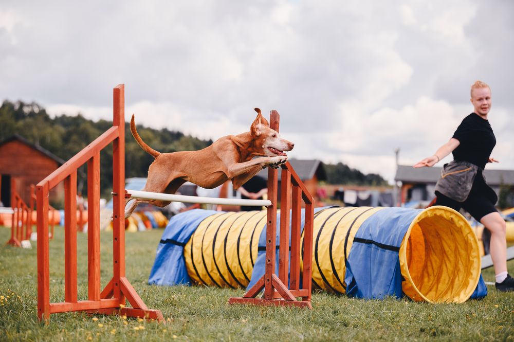 Photograph by Мария Ананьева