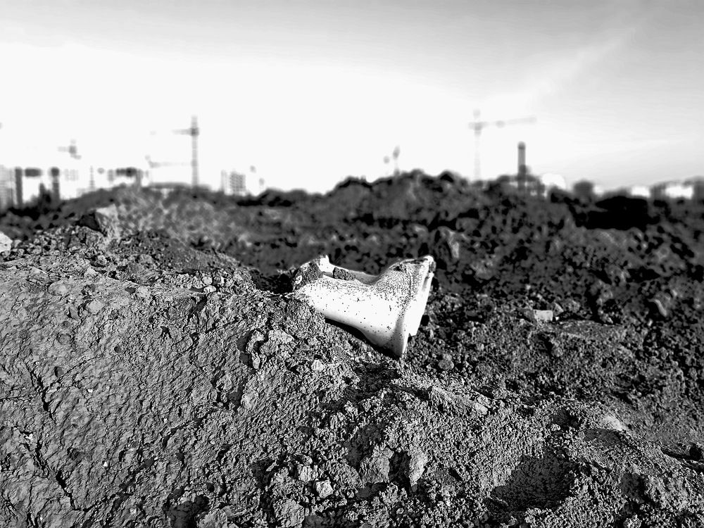 Photograph by Александр Гришин