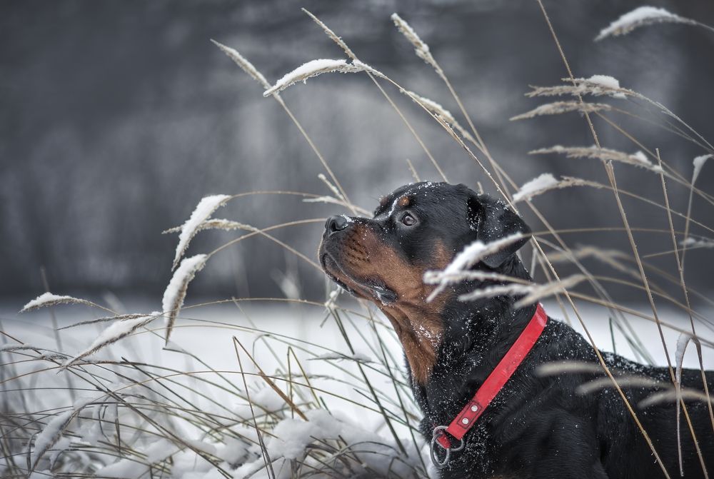 Photograph by Яна Кудлай