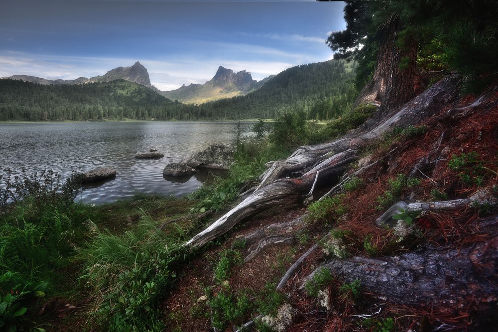 Photograph by Алексей Никонов