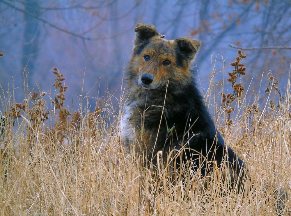Photograph by Надежда Батракова