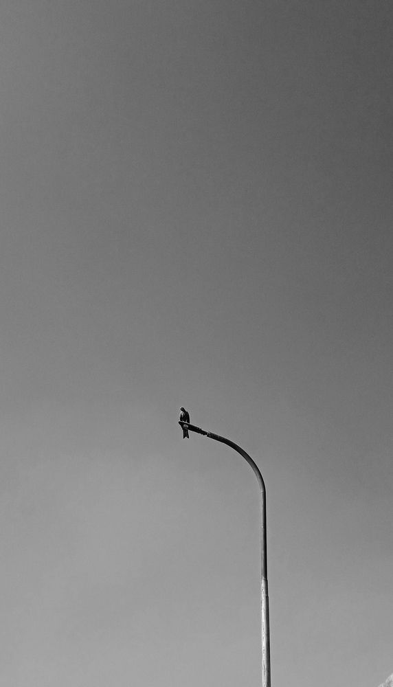 Photograph by Yasha Akhtar