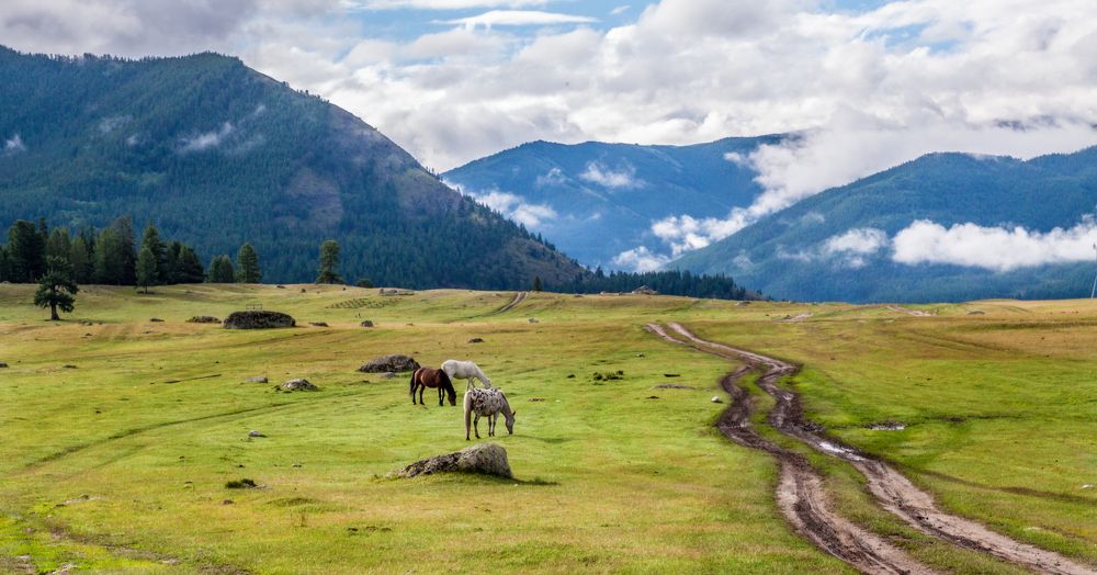 Photograph by Natalia