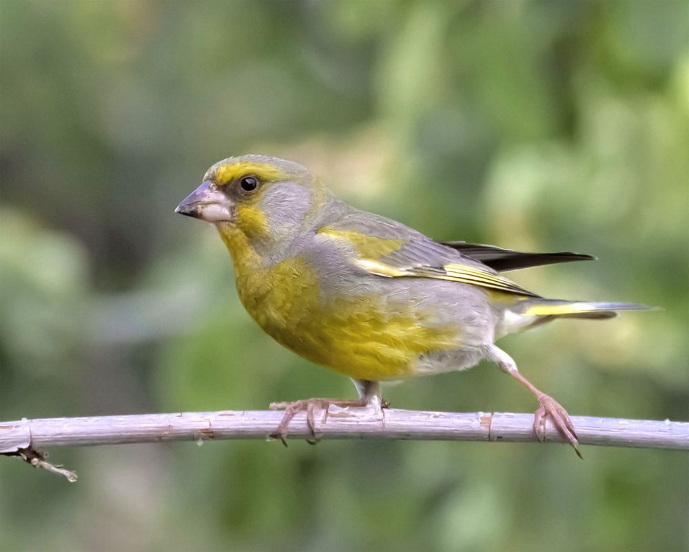 Photograph by Пушкин Сергей