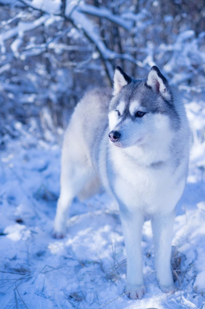 Photograph by Татьяна Некрылова