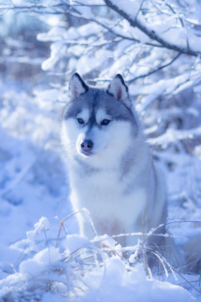 Photograph by Татьяна Некрылова