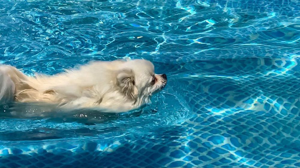 Лето, ах лето!