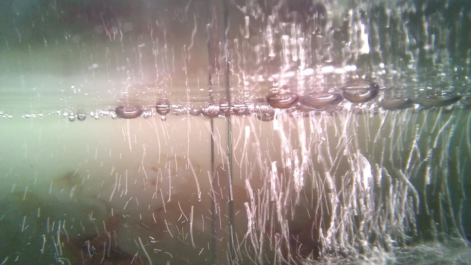 Photo #11663362