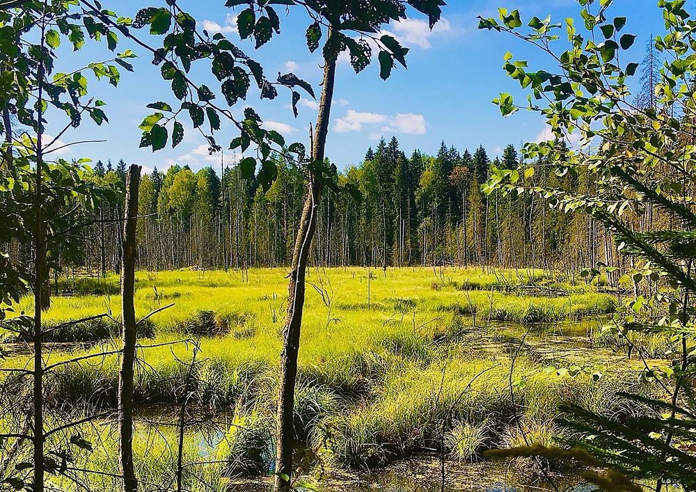 Photograph by Екатерина