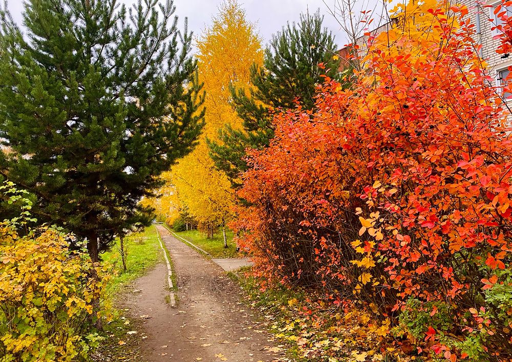 Photograph by Екатерина