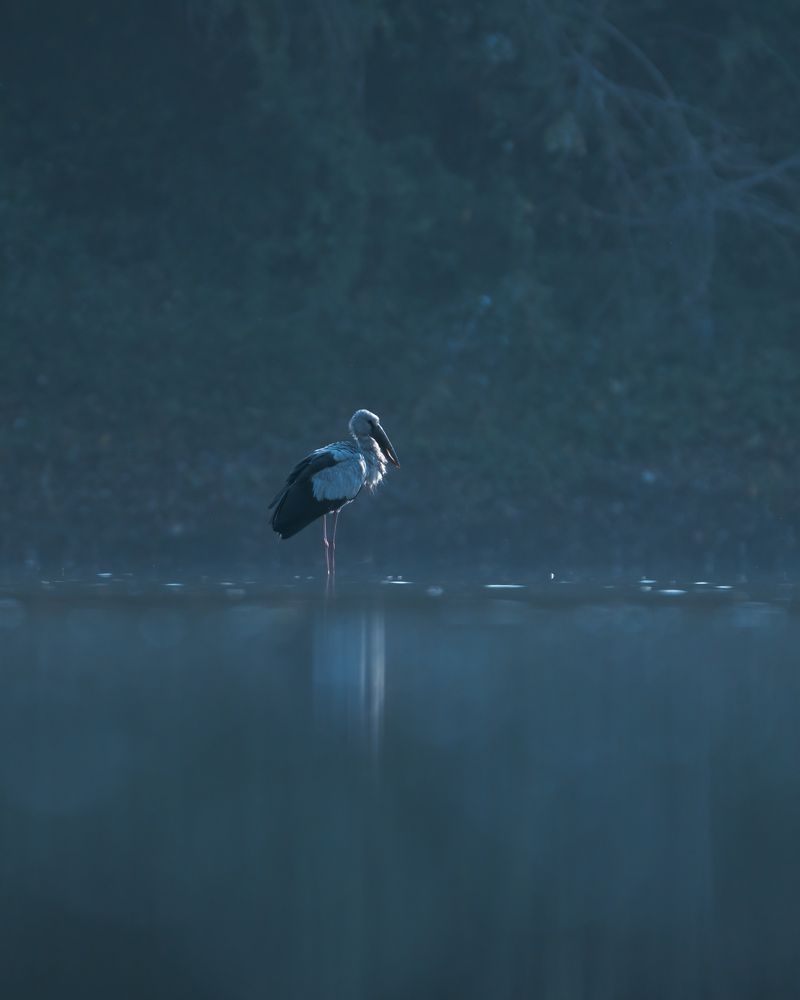 Фотография автора Hari Venkatesh
