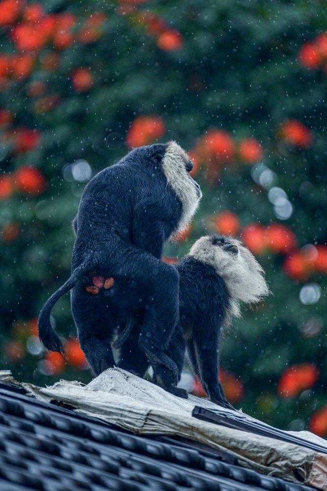 Фотография автора Hari Venkatesh