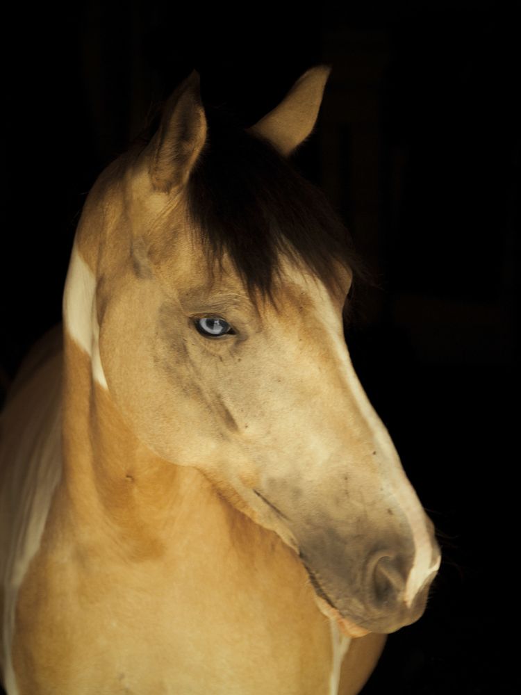 Photograph by Ольга Заповедная