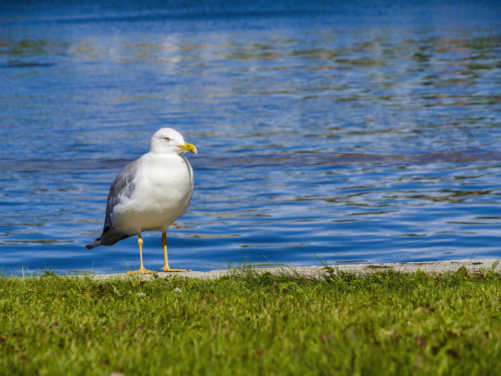 Photograph by Валерий Лунев