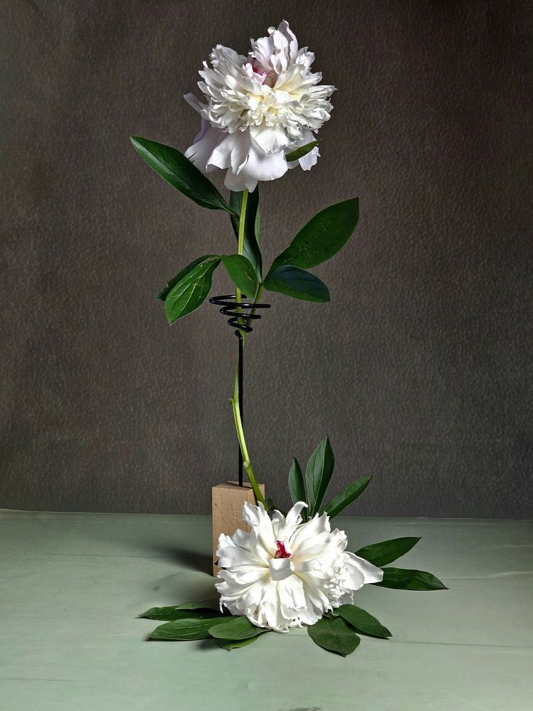 Photograph by Галина Левина