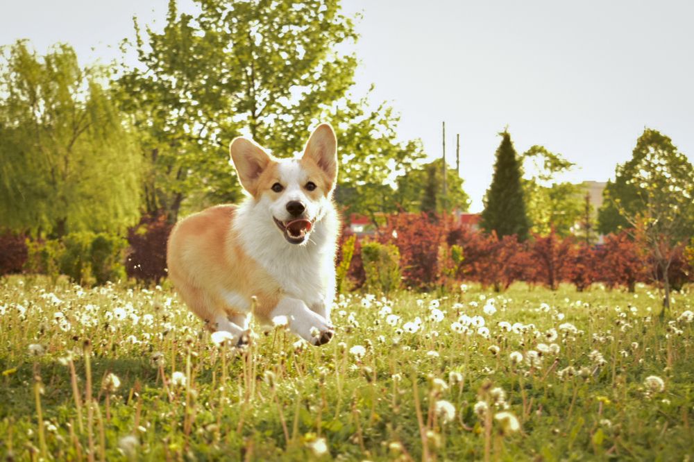 Фотография автора Ангелина Франк